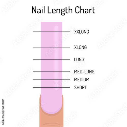 Nail length table. Nail file chart. Vector infographics