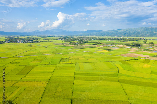 The traditional villages in the middle of the green and yellow rice fields in the valley, Asia, Vietnam, Tonkin, Dien Bien Phu, in summer, on a sunny day.