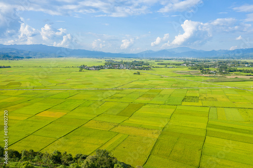 The traditional villages in the middle of the green and yellow rice fields in the valley, Asia, Vietnam, Tonkin, Dien Bien Phu, in summer, on a sunny day.