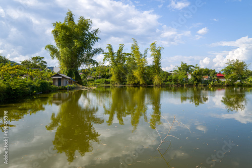 Trees by a lake near a traditional village , Asia, Vietnam, Tonkin, Dien Bien Phu, in summer on a sunny day.