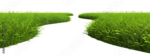 Green grass cut out