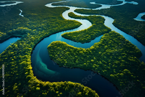 View of the river from above. 