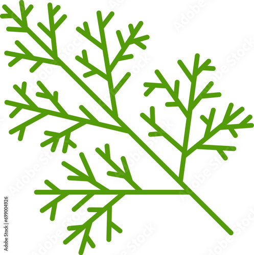 Green dill seasoning herb condiment, outline icon. Vector dill head annual herb, flavoring spicy fennel branch, perennial plant