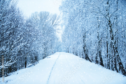 In blue tinting there is a winter forest with a snow-covered road.