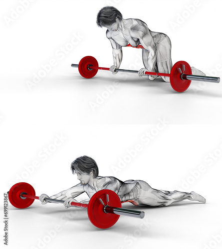 417 Abdominals-Barbell Roll Outs. 3D Anatomy of fitness and bodybuilding. An outstanding display of male muscles. Targeted muscles are red. No background. Png. 