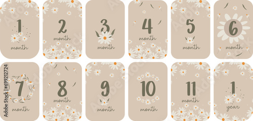 Set of monthly milestone anniversary card for baby. Vector printable postcards with numbers and daisies for a newborn. 1-11 months and 1 year. Print baby shower, baby's birthday. 