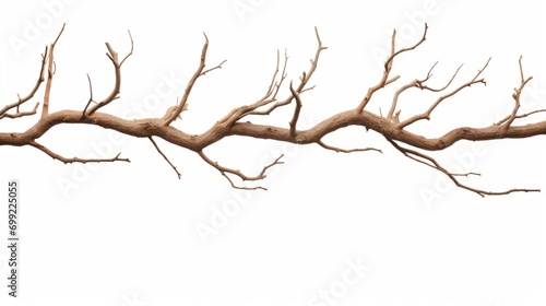 Dead tree branches with cracked bark isolated on white background isolated on white background, - Created using AI Generative Technology