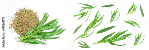 tarragon or estragon fresh and dried isolated on a white background. Artemisia dracunculus. Top view. Flat lay