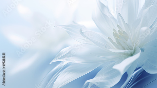 Elegant white petals in ice. Delicate texture. Frosty beautiful natural winter or spring background. A visual symphony of elegance. Beauty in a moment of stillness