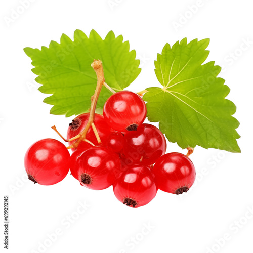 fresh organic redcurrant cut in half sliced with leaves isolated on white background with clipping path