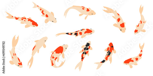 Karp koi. Zestaw elementów. Wektorowa ilustracja egzotycznych rybek na białym tle.