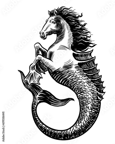 Mythological hippocampus animal. Hand-drawn black and white illustration