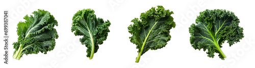 Collection of PNG. Kale isolated on a transparent background.