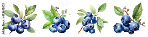 Watercolor Blueberry png collection