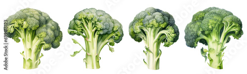 Broccoli png collection, Watercolor
