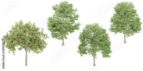 Alder,Apple trees and shrubs in summer isolated on white background. Forestscape. High quality clipping mask. Forest and green foliage