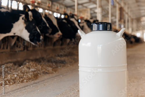 Concept artificial insemination of cows, tank liquid nitrogen with bull sperm. Veterinary of industry dairy livestock