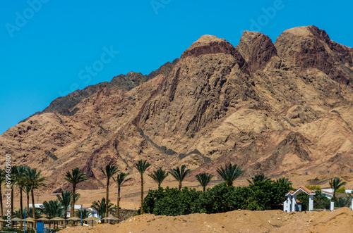 houses with trees and palm trees on the background of high mountains in Egypt Dahab South Sinai