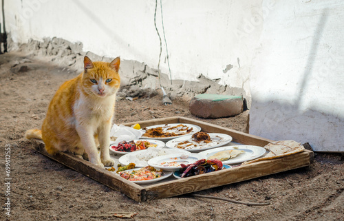 homeless red cat next to plates of food on the street in Egypt Dahab South Sinai