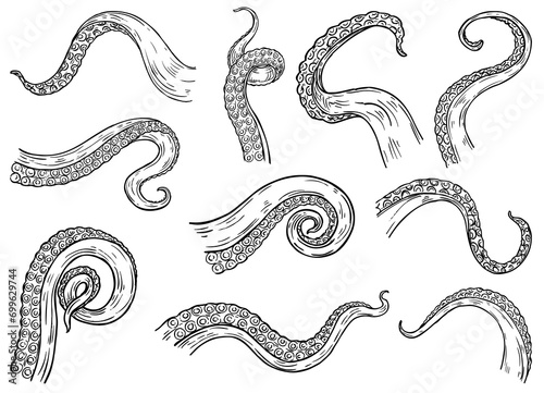 Octopus Tentacles Engraving. Hand Drawn Tentacle of Underwater Squid Animal, Sketch Kraken or Cthulhu Arms with Sucker Rings black Illustration in various themes. 