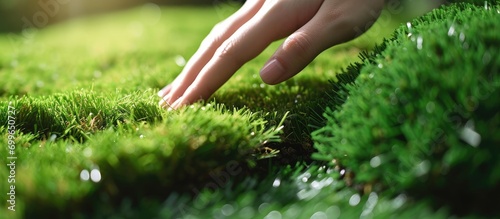 Hand stroking soft, squishy synthetic grass - a budget-friendly alternative to green lawns.