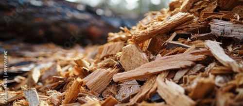 Wood chips are a renewable energy resource used for combustion in energy engineering.