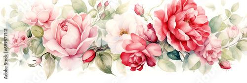 roses on a white background, picturesque watercolor painting
