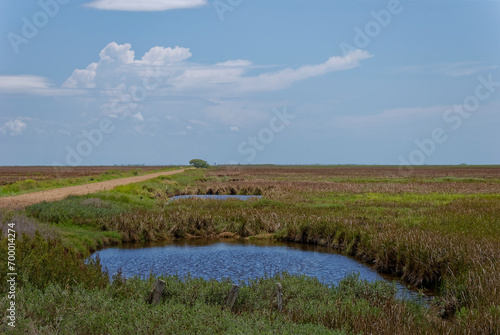Small Ponds beside a Gravel trail within the San Bernard National Wildlife Park on the Gulf Coast of Texas.