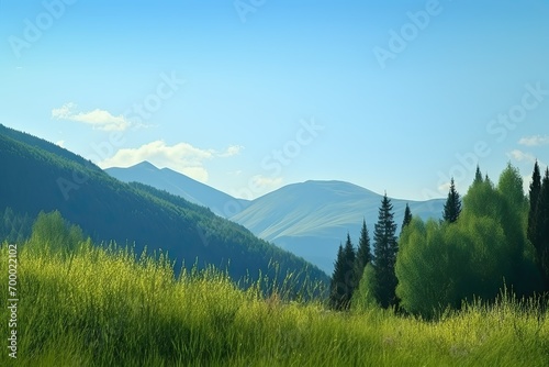 background nature mountains woodland view banner grass forest green sky blue landscape mountain