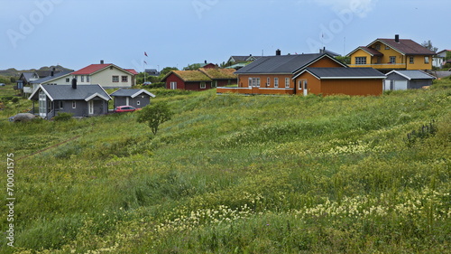 Residential houses at Ramberg on Lofoten in Nordland county, Norway, Europe 