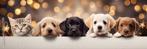 A cats and a dogs peeking out from behind a wooden board. Cute puppies and kittens with a defocused Christmas background, cozy atmosphere. Christmas promotional banner for pet shop or vet clinic.