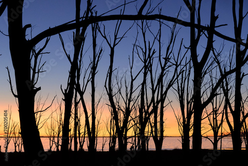 Atardecer colorido con silueta de árboles muertos en lago Epecuén Argentina