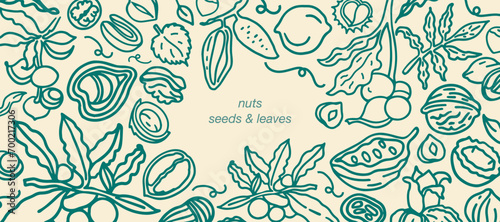 Isolated vector set of nuts. Nuts and seeds collection. Hand drawn objects. Peanuts, cashews, walnuts, hazelnuts, cocoa, almonds, chestnut, pine nut, nutmeg, peanut, macadamia, coconut, pistachios.