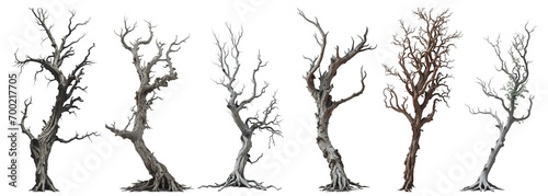 Set collection of giant old dead trees isolated on transparent background. Generative AI