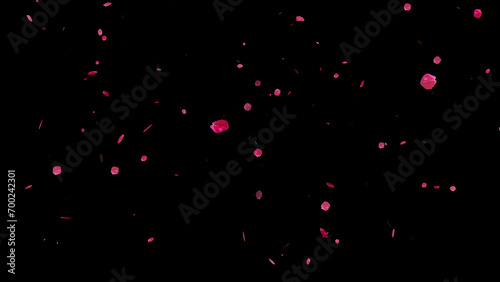 Cherrry blossam falling background for the concept of affectionate passion couples marriage anniversary backdrop. Romantic glittering petals bg for Valentine married couple