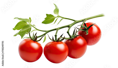 Fresh delicious tomatoes on branch, cut out