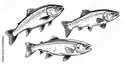 Trout fish set in hand drawn strokes. Vector