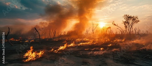 Drought causes fire and air pollution in nature, posing an ecological problem and natural disaster.