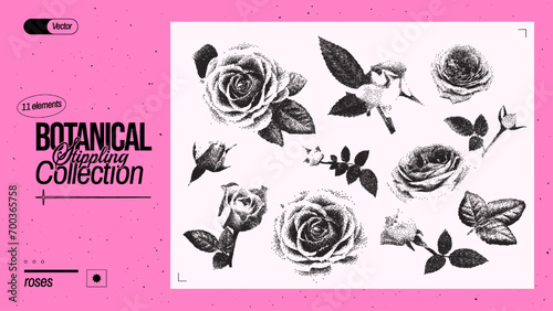 Set of different roses. Vintage flower elements with a grainy photocopy effect for anti-design. Grunge dotted elements with stippling effect. Vector illustration.