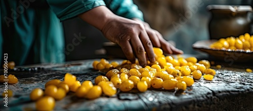 Close up Arabian hand cutting a yellow date palm branch with scissors for separate sale to customer yellow Bahi dates farm produce sweet and delicious for eating fresh. Creative Banner