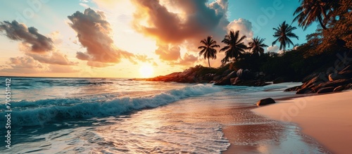 Art Beautiful sunset over the tropical beach. Creative Banner. Copyspace image