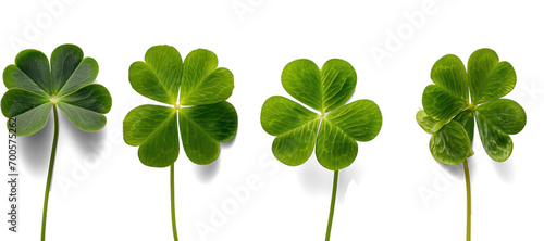 Unic Four-Leaf Clovers on White
