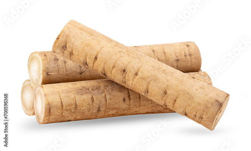 burdock roots or kobo isolated on transparent png