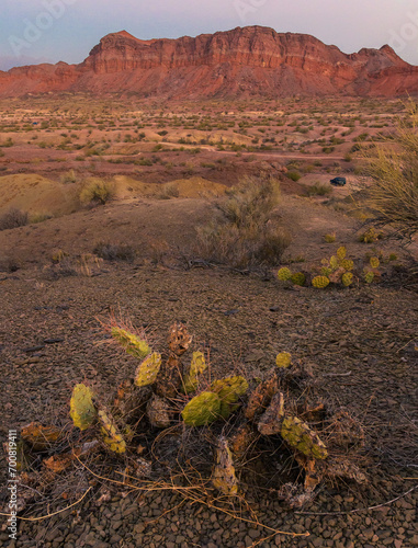 Atardecer en paisaje montañoso y árido con cactus en primer plano - Cañón del triásico - La Rioja - Argentina