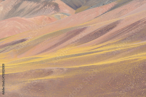 Detalle de paisaje colorido montañoso - camino a Laguna Brava - La Rioja - Argentina