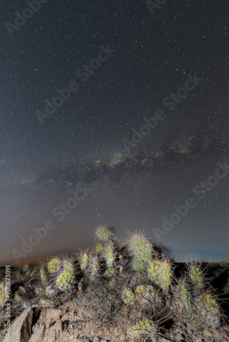 Vía Láctea con cactus en primer plano - Villa Unión - La Rioja