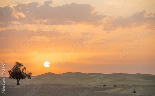 desert in the emirates for background