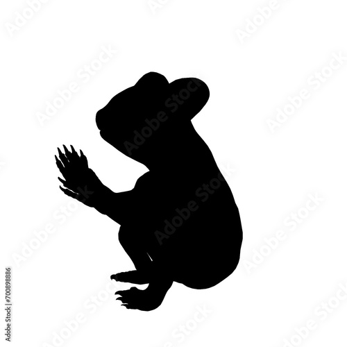 silhouette of koala