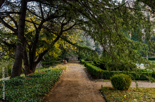 walkway in parterre of the National Botanical Garden (Tbilisi, Georgia)