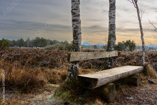 Schönramer Filz Hochmoor in Bayern im Winter am Morgen im Naturschutzgebiet